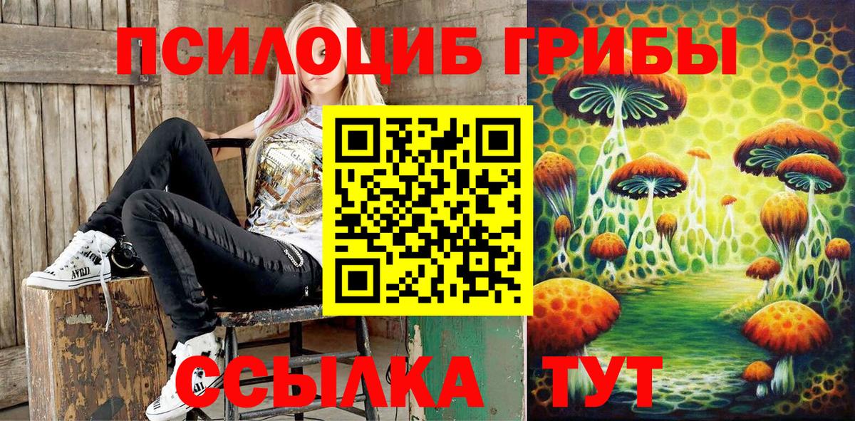 Галлюциногенные грибы Psilocybe Анапа