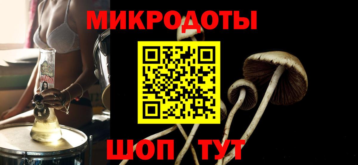 Псилоцибиновые грибы Magic Shrooms  сколько стоит  Вход с VPN  Анапа  Галлюциногенные грибы прущие грибы 